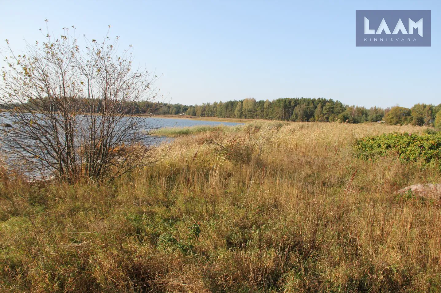 Harju maakond, Kuusalu vald, Pärispea küla, Väheloo — 20