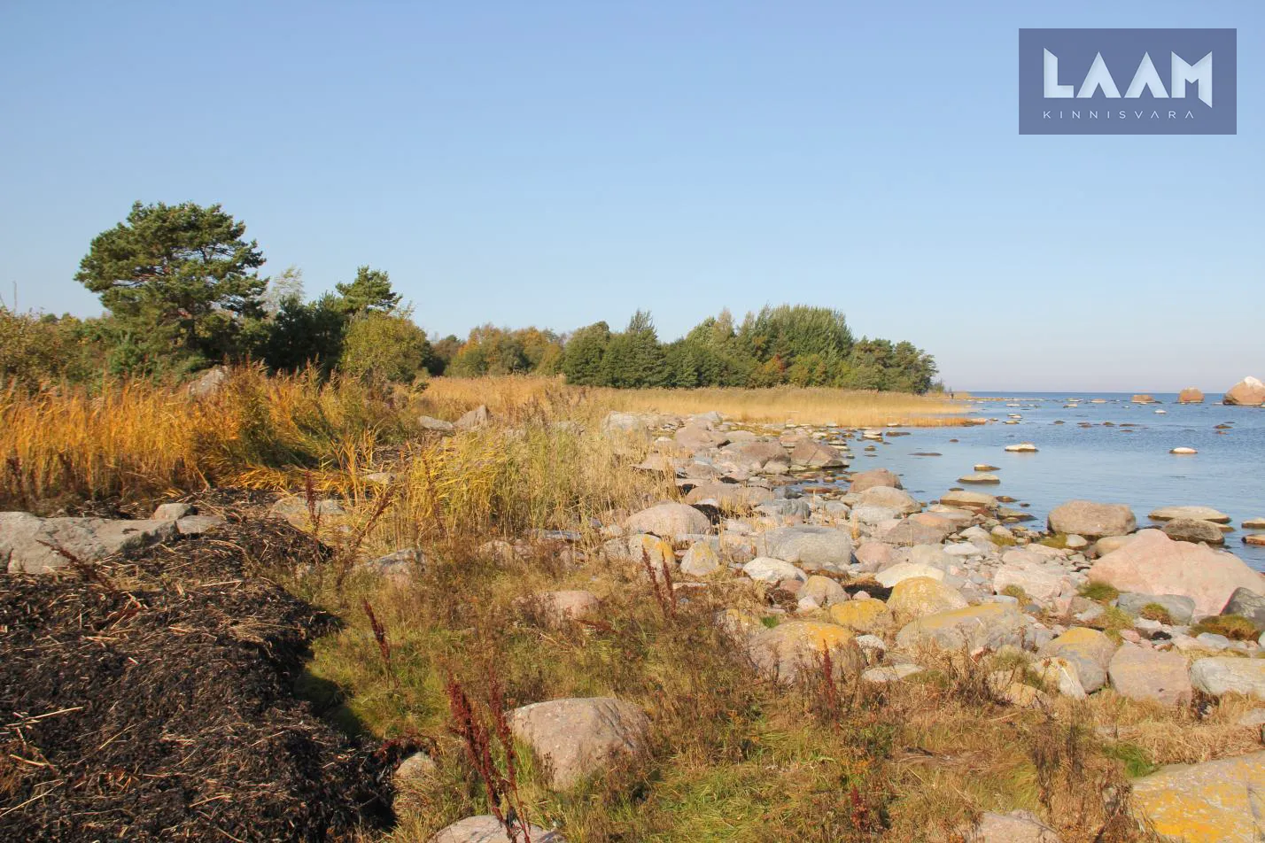 Harju maakond, Kuusalu vald, Pärispea küla, Väheloo — 21