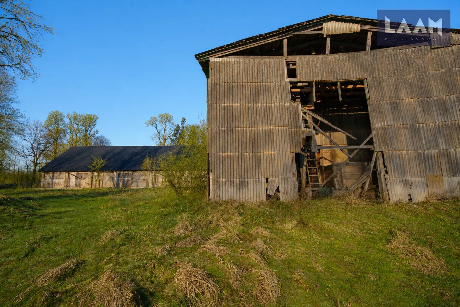 Järva maakond, Paide linn, Viisu küla, Pioneeri — 5
