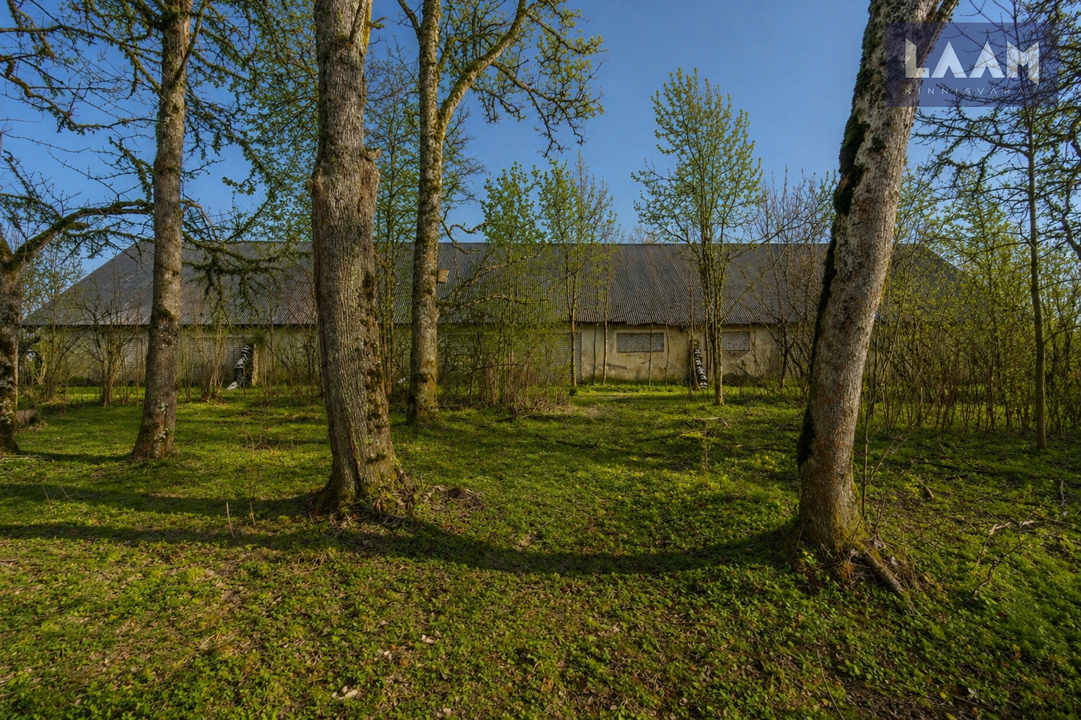 Järva maakond, Paide linn, Viisu küla, Pioneeri — 9