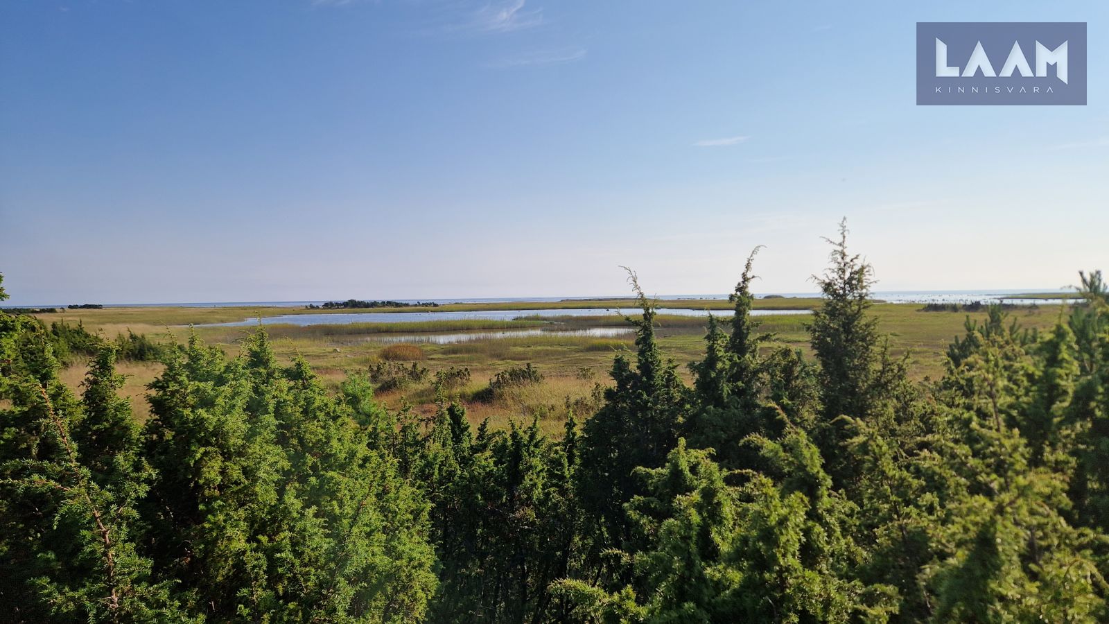 Saare maakond, Saaremaa vald, Suure-Rootsi küla, Rannavälja — 1