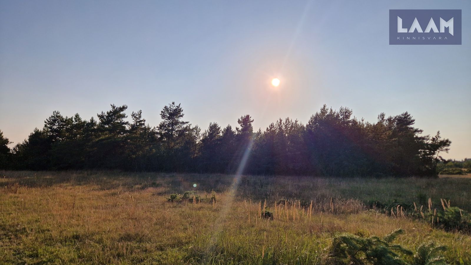 Saare maakond, Saaremaa vald, Suure-Rootsi küla, Rannavälja — 3