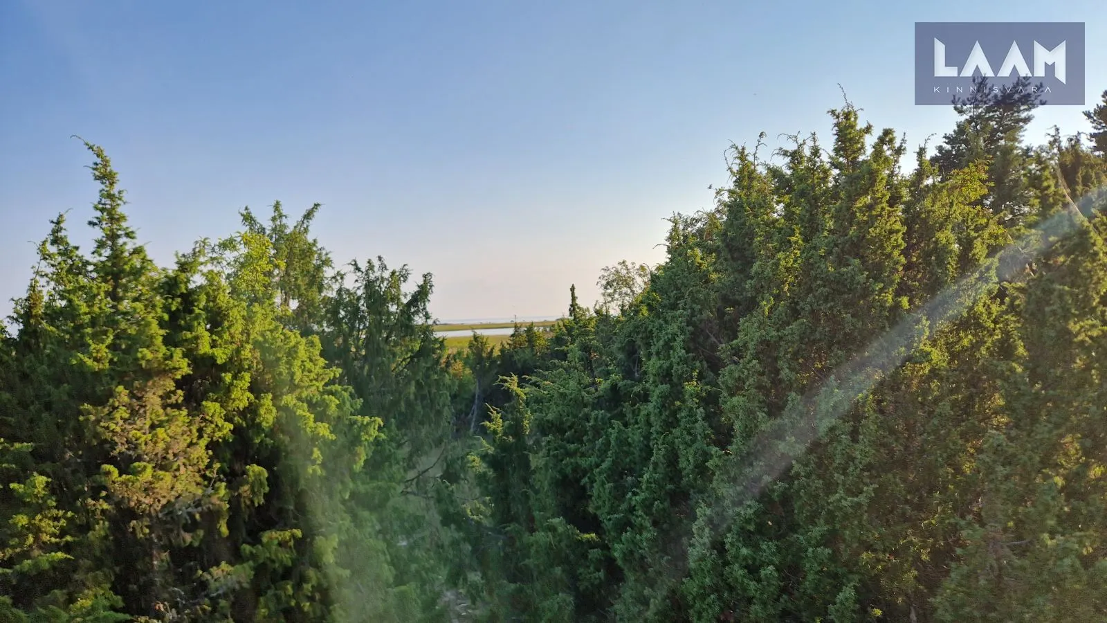 Saare maakond, Saaremaa vald, Suure-Rootsi küla, Rannavälja — 4