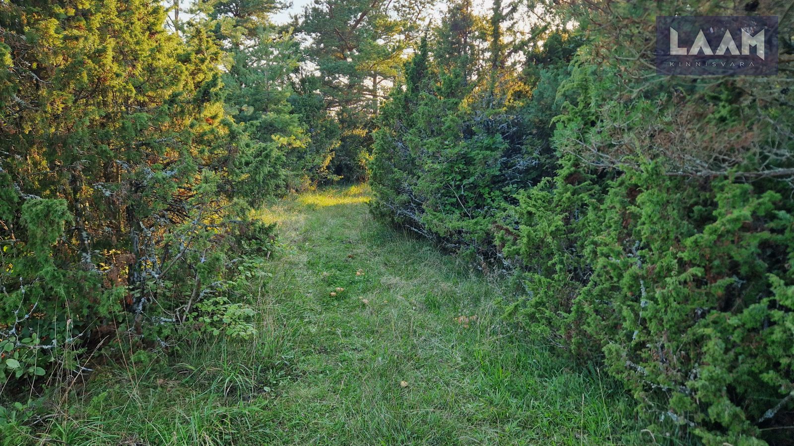 Saare maakond, Saaremaa vald, Suure-Rootsi küla, Rannavälja — 5