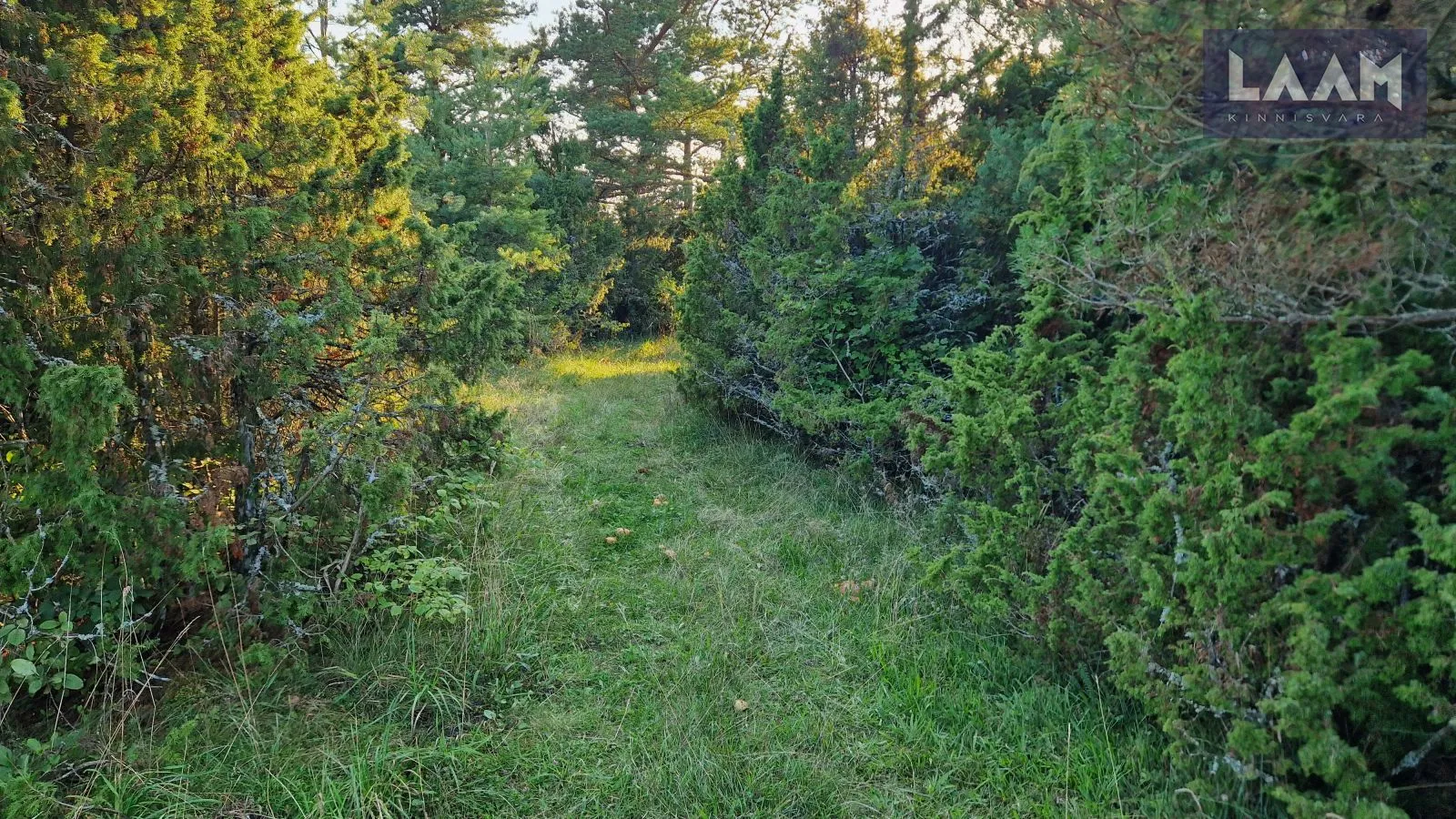 Saare maakond, Saaremaa vald, Suure-Rootsi küla, Rannavälja — 5