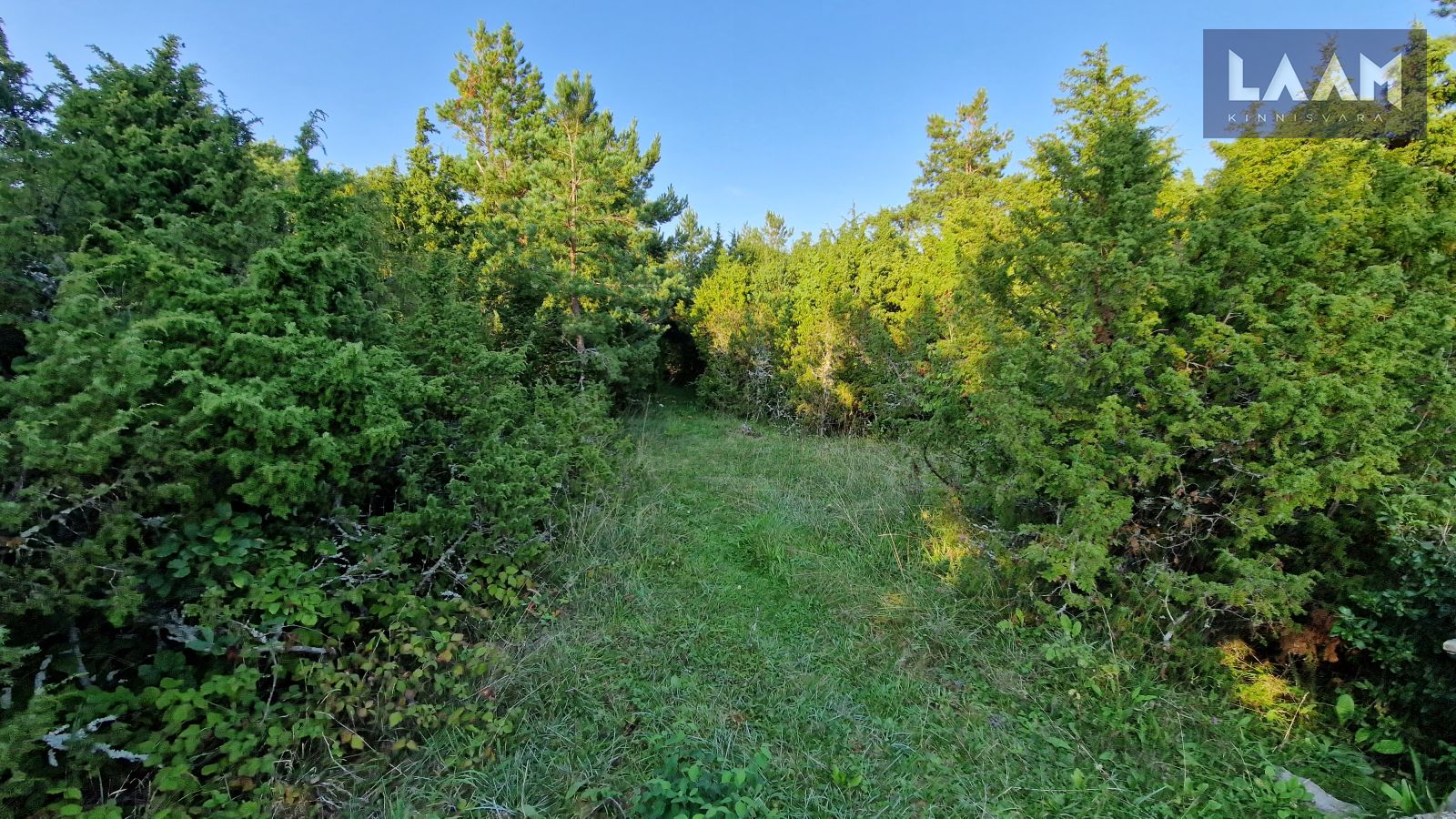 Saare maakond, Saaremaa vald, Suure-Rootsi küla, Rannavälja — 6