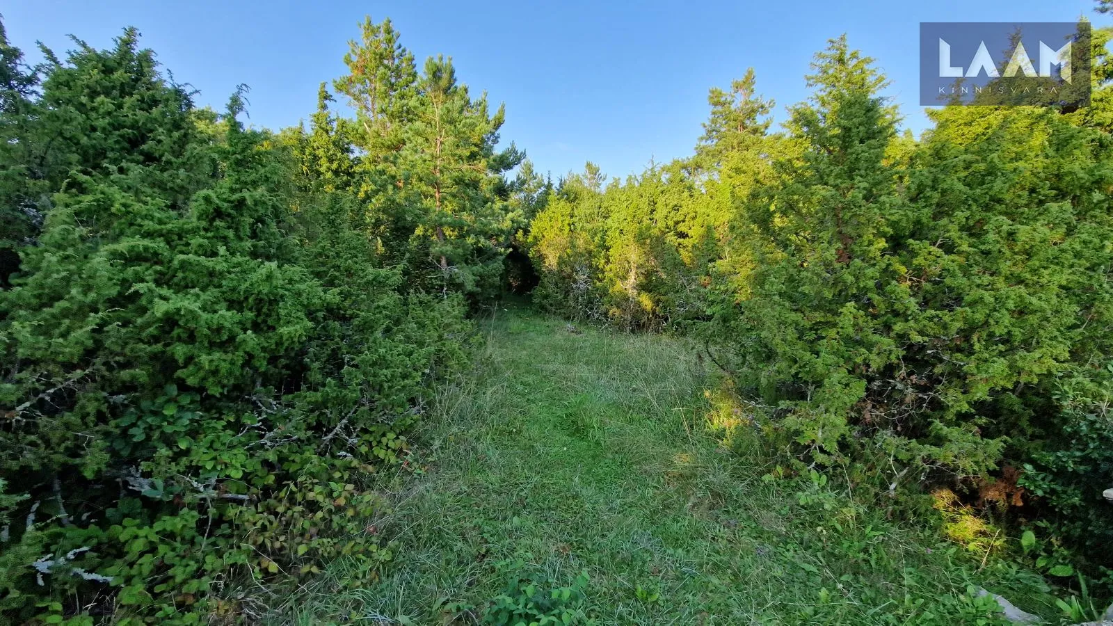 Saare maakond, Saaremaa vald, Suure-Rootsi küla, Rannavälja — 6