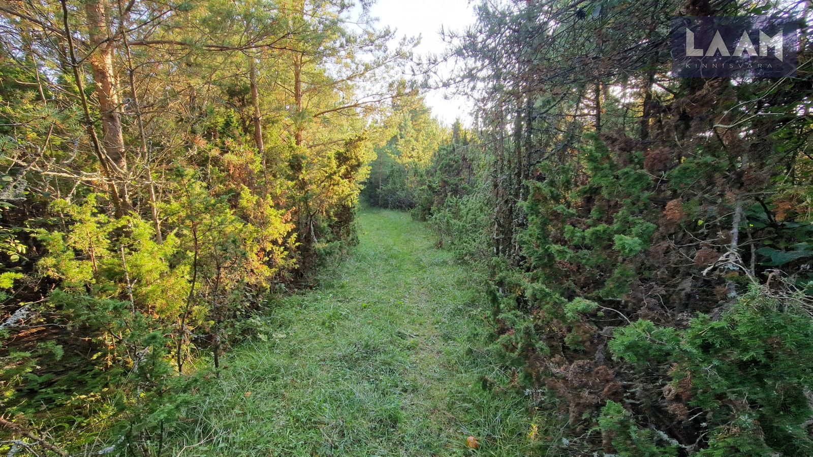 Saare maakond, Saaremaa vald, Suure-Rootsi küla, Rannavälja — 7