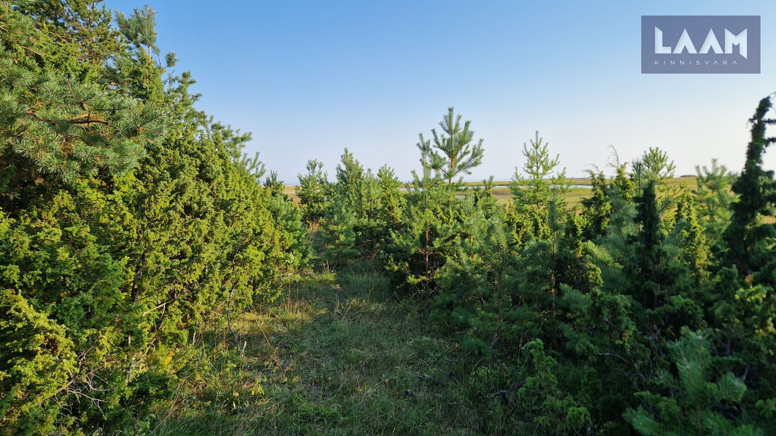 Saare maakond, Saaremaa vald, Suure-Rootsi küla, Rannavälja — 9