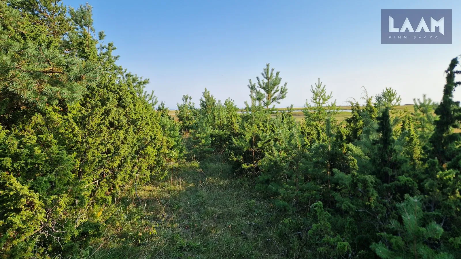Saare maakond, Saaremaa vald, Suure-Rootsi küla, Rannavälja — 9