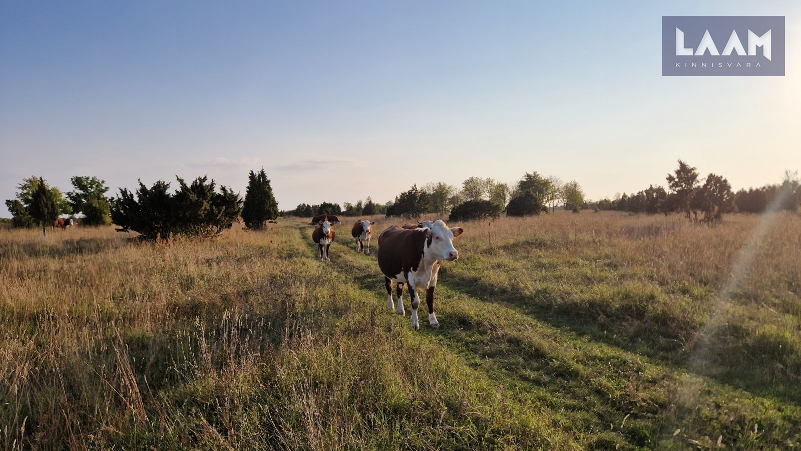 Saare maakond, Saaremaa vald, Suure-Rootsi küla, Rannavälja — 10