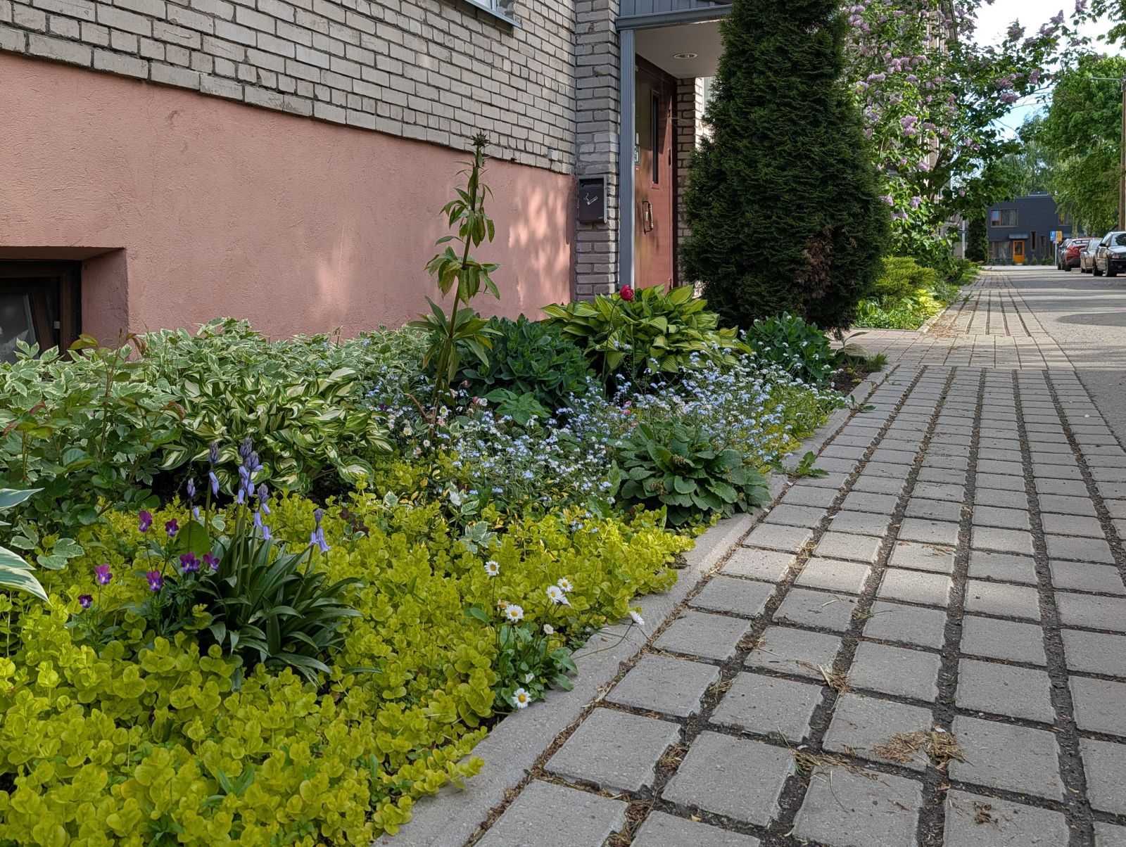 Harju maakond, Tallinn, Kristiine linnaosa, Vindi tn 18a — 31