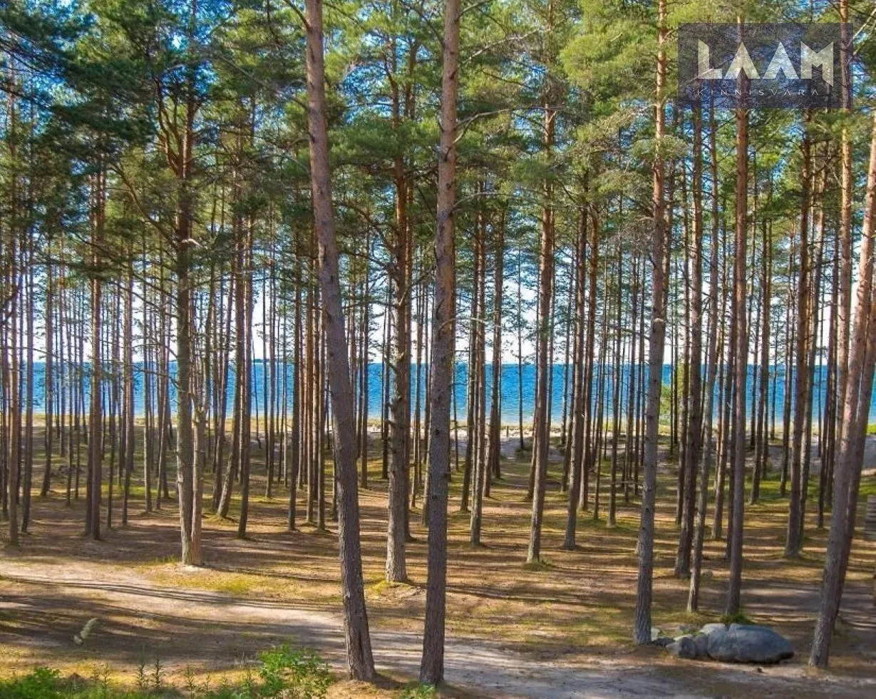 Harju maakond, Kuusalu vald, Salmistu küla, Rannasalu tee — 2