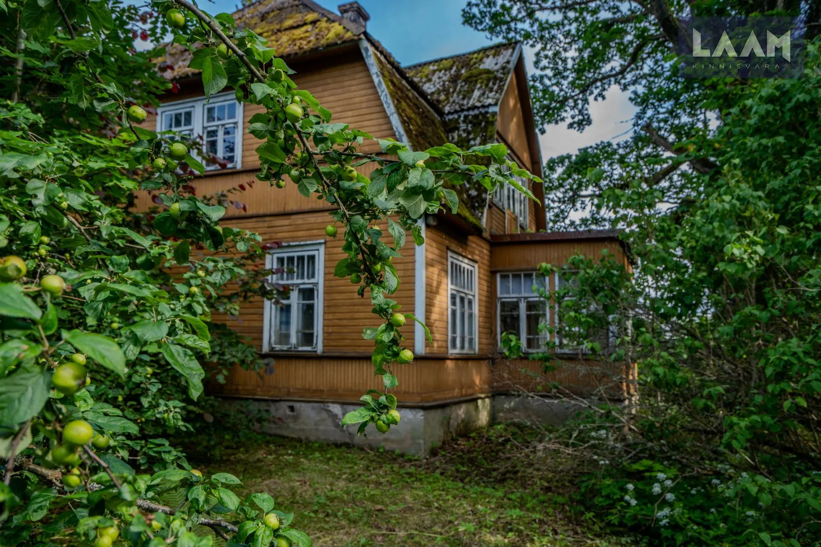 Harju maakond, Kose vald, Ravila alevik, Endla — 17