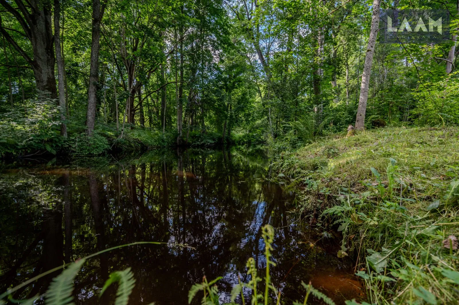 Harju maakond, Kose vald, Ravila alevik, Endla — 7