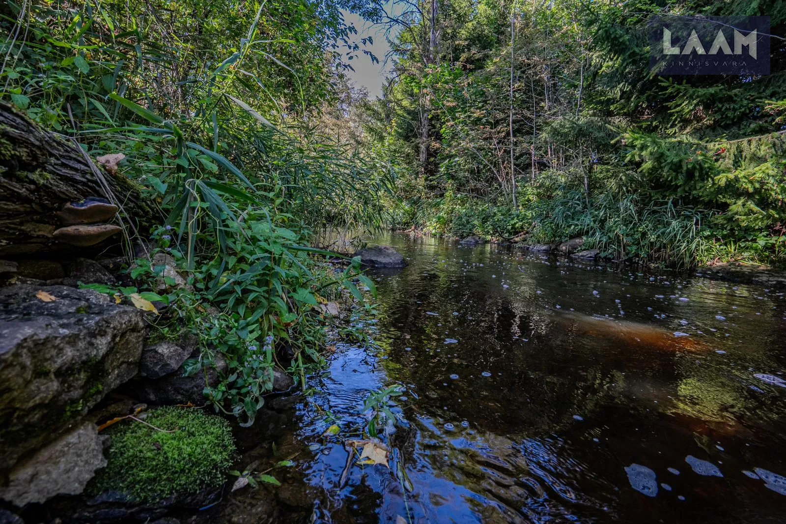 Harju maakond, Saku vald, Jälgimäe küla, Pihlaka — 13
