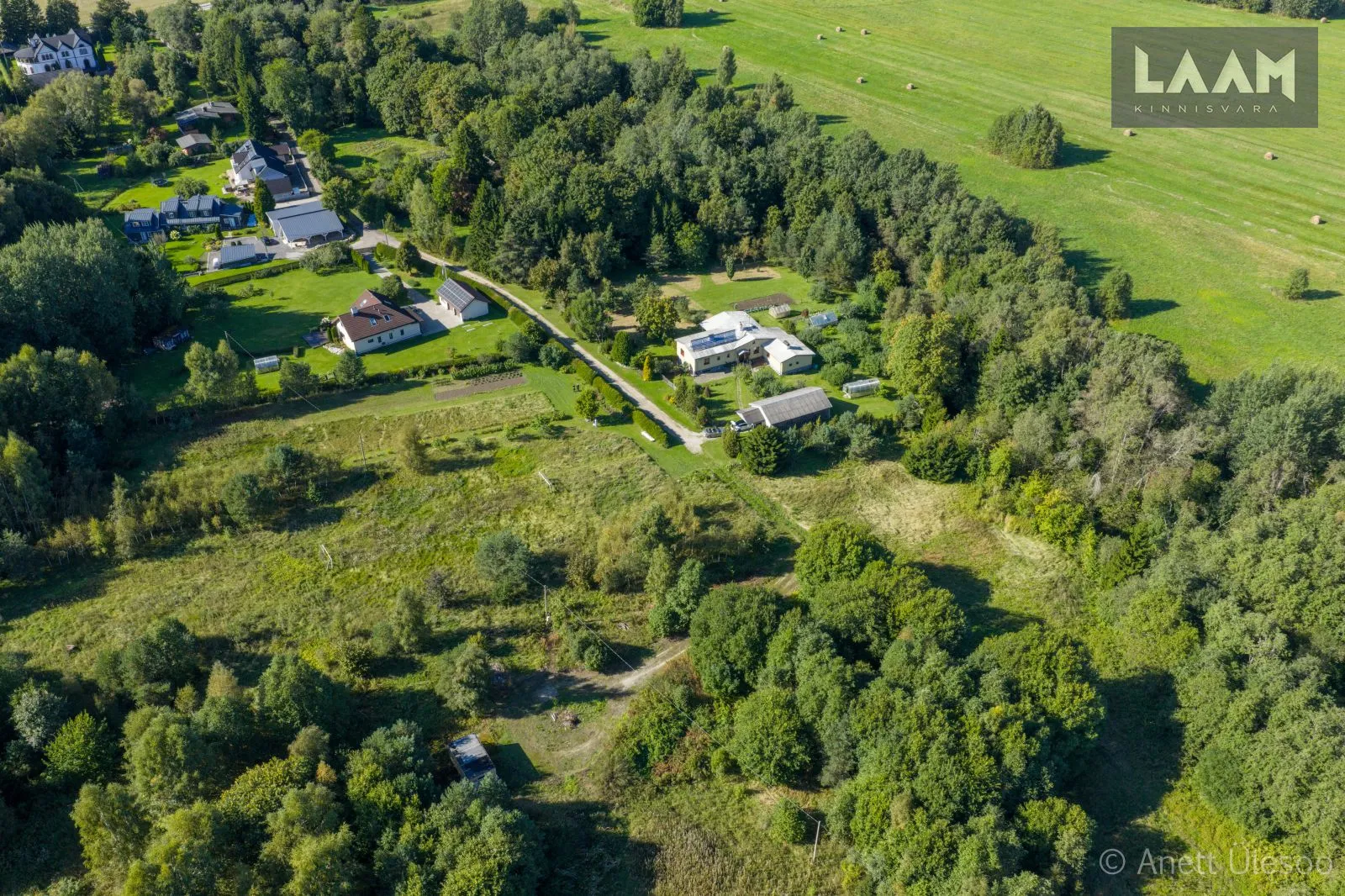 Harju maakond, Saku vald, Jälgimäe küla, Pihlaka — 4