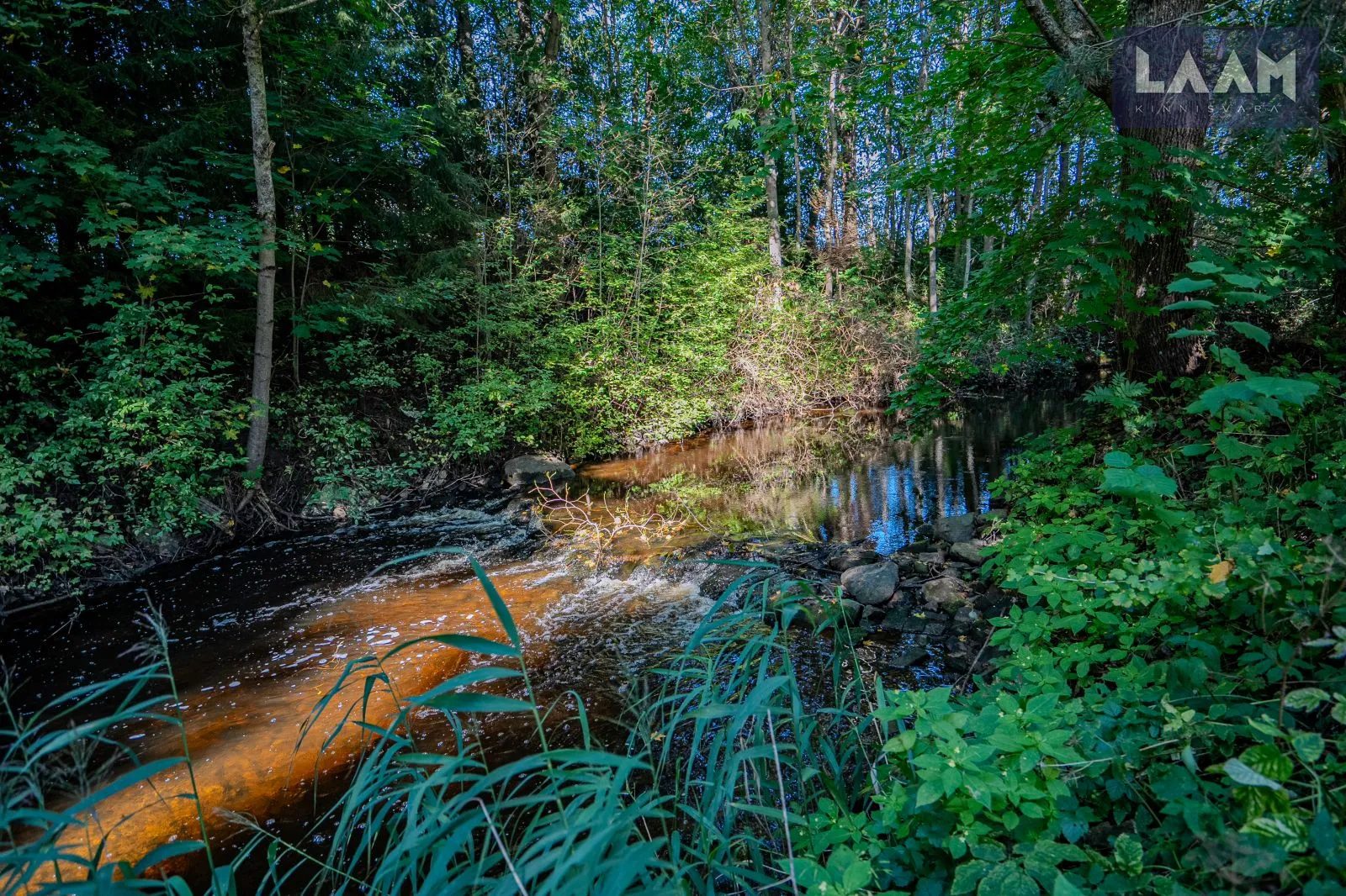 Harju maakond, Saku vald, Jälgimäe küla, Pihlaka — 45